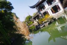 静思园28