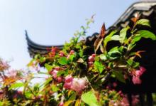 静思园29