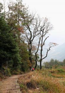 红枫古道1
