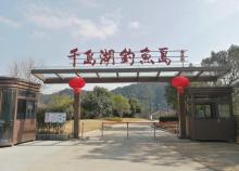 千岛湖钓鱼岛7