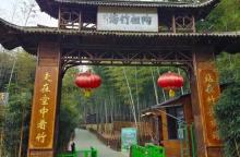 陶祖圣境4