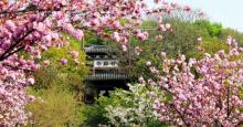 三国水浒景区(中央电视台无锡影视基地)10