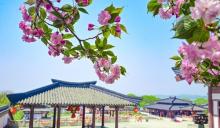 三国水浒景区(中央电视台无锡影视基地)4