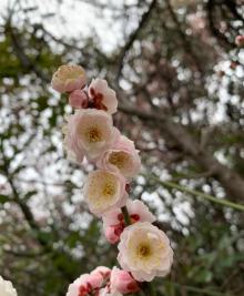 李公堤20