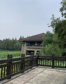 良渚文化村12