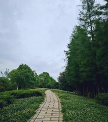 良渚文化村16
