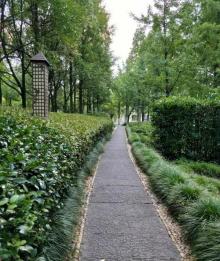 良渚文化村21