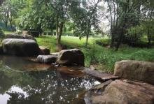良渚文化村10