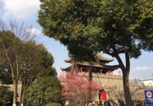 梅里古镇20