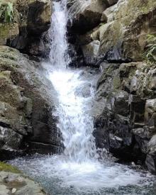 千岛湖红山谷景区24