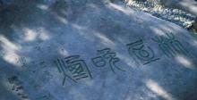 洞庭东山3