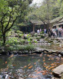 王子谷漂流16