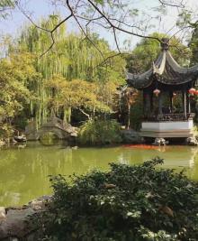 严家花园20