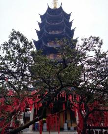 灵岩山20