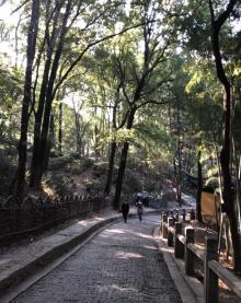 灵岩山26
