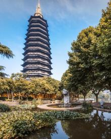 红梅公园1