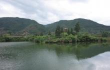 大木山茶园景区18