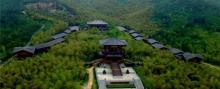 大唐贡茶院2