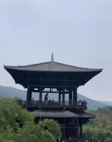 大唐贡茶院28