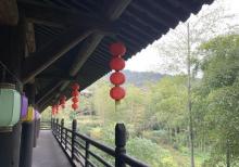 大唐贡茶院26