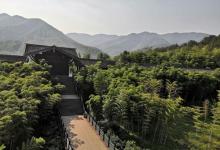 大唐贡茶院22