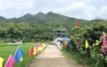 苍坡古村15