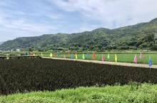 苍坡古村16