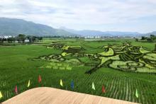 苍坡古村21