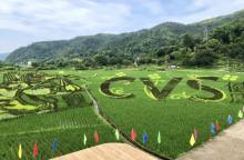 苍坡古村18