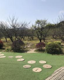 香雪海24