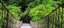 南浦溪景区2