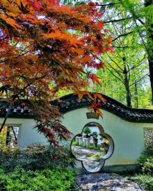 苏州上方山国家森林公园28