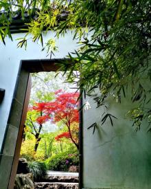 苏州上方山国家森林公园30