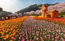 苏州上方山国家森林公园13
