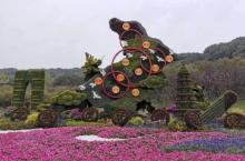 苏州上方山国家森林公园14