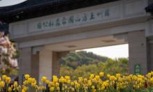 苏州上方山国家森林公园9
