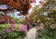 苏州上方山国家森林公园20