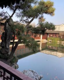 艺圃29