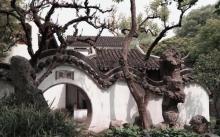 艺圃25