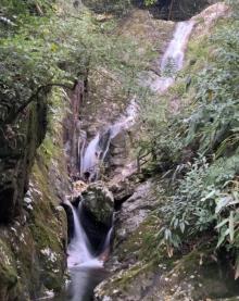 箬寮原始林14