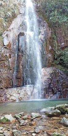 箬寮原始林8