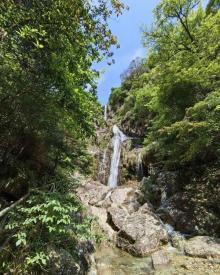 箬寮原始林3