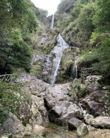 箬寮原始林10