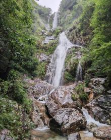 箬寮原始林4