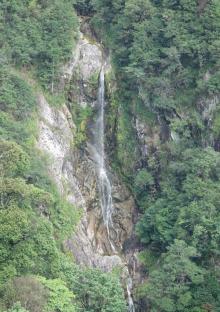 箬寮原始林17