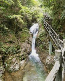 箬寮原始林19