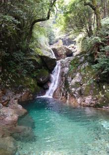 箬寮原始林16
