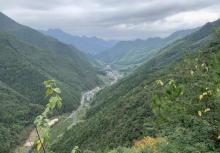 箬寮原始林13