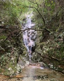 箬寮原始林12