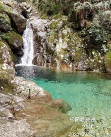 箬寮原始林7